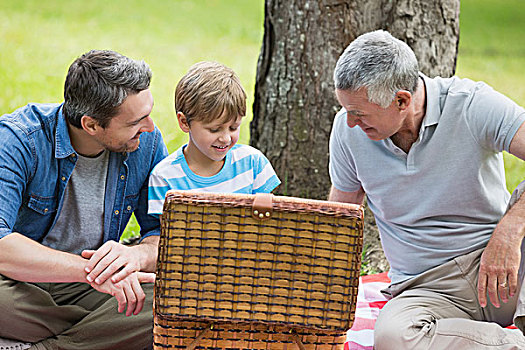 爷爷,父子,野餐篮,公园