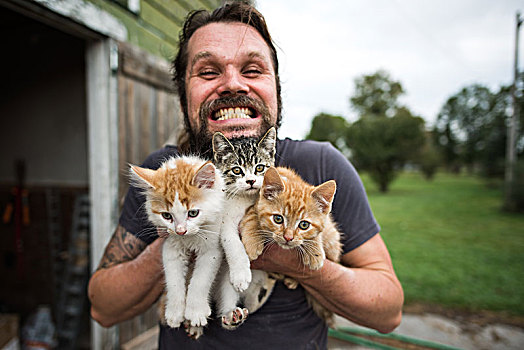 男人,微笑,三个,小猫,手臂