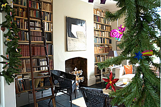 壁炉,房间,书架,装饰,圣诞树