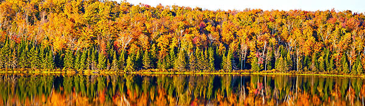 秋天,全景,湖,南,魁北克,加拿大