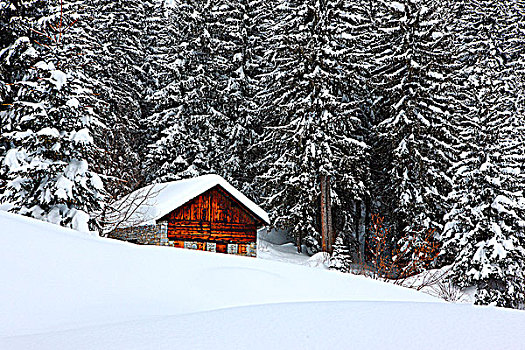 法国,隆河阿尔卑斯山省,阿尔卑斯山,上萨瓦省,木房子,风景,冬天