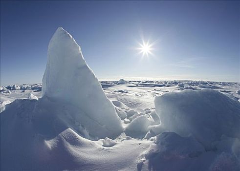 全景,积雪,风景,格陵兰