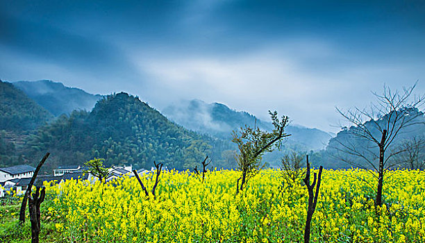 安徽皖南春季风光青山绿树碧水油菜花油菜花