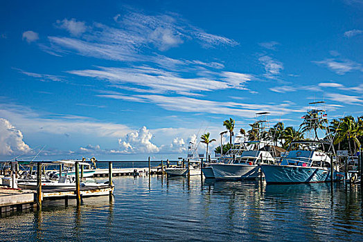 码头,钥匙,佛罗里达,美国