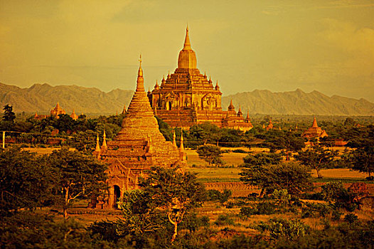 庙宇,风景,蒲甘,缅甸
