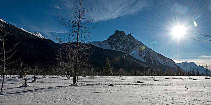 积雪,地点,加拿大,落基山脉,幽鹤国家公园,不列颠哥伦比亚省