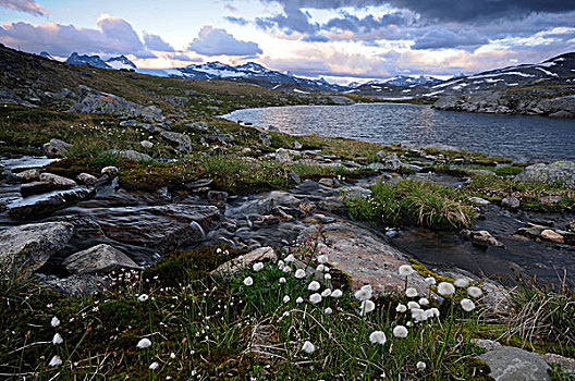 山景,尤通黑门山,国家公园,挪威,斯堪的纳维亚,欧洲