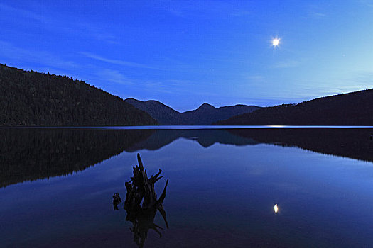 湖,月光