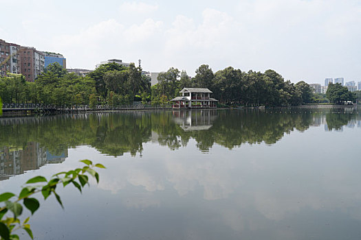 羊城广州国庆假日流花湖公园美丽景色