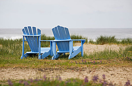 两个,蓝色,宽木躺椅,草,海滩,俄勒冈,美国
