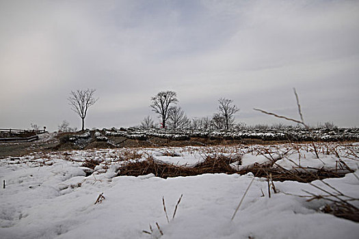 丘陵地貌