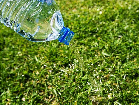 水瓶,草地