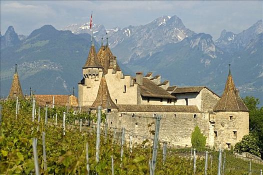 城堡,沃州,瑞士