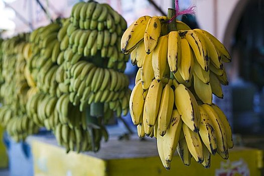 香蕉,出售,大西洋海岸,摩洛哥