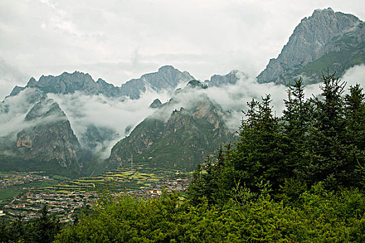 乡村雾景