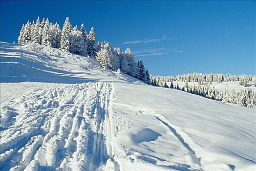 滑雪坡,奥地利