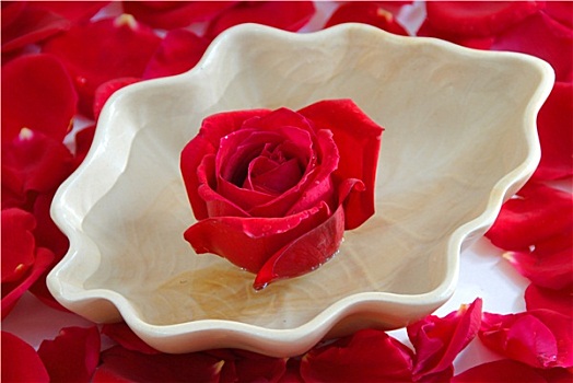 红玫瑰,花瓣,水疗,芳香疗法