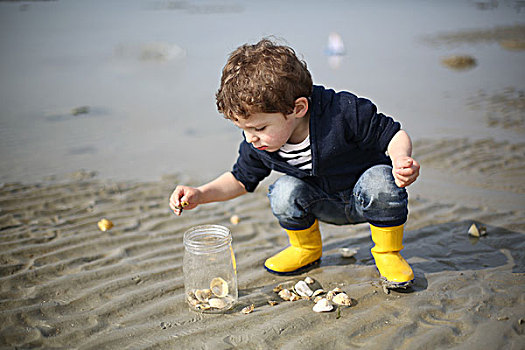 3岁,男孩,看,海螺壳,海滩