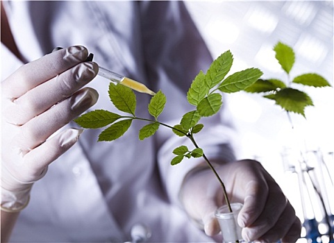 生物科技,化学品,实验室器皿