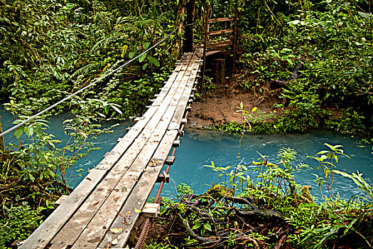 吊桥,上方,蓝色,水,国家公园,哥斯达黎加,中美洲