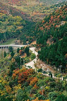 长寿山红叶与公路风景图