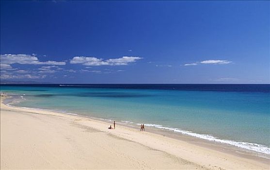 海滩,富埃特文图拉岛,加纳利群岛,西班牙,欧洲