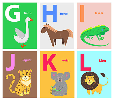 字母,可爱,卡通,动物,矢量,动物园,英文,概念,拉丁美洲,文字,有趣,野生,家养动物,彩色,背景,标题,孩子,书本,课本,插画
