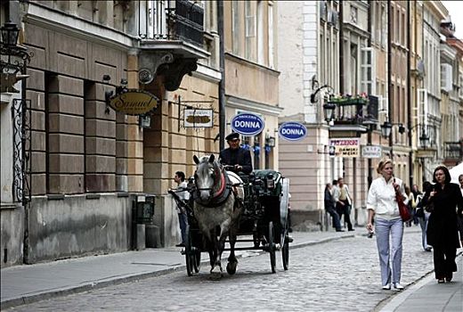 马车,小路,老城区,华沙,波兰