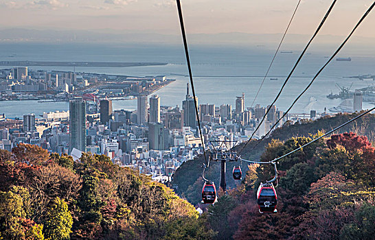 日本,神户,城市,香草园