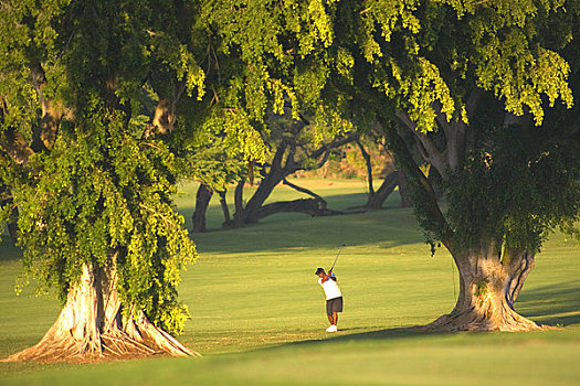 夏威夷,毛伊岛,男性,打高尔夫,晃动,高尔夫球杆,乡村俱乐部,场地