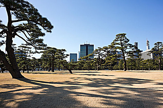 的背景下,日本的东京,松