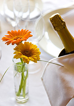 特写,花瓶,花,香槟酒瓶,餐厅桌子