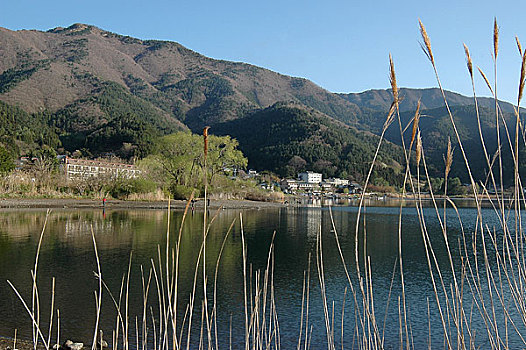 日本河口湖风光