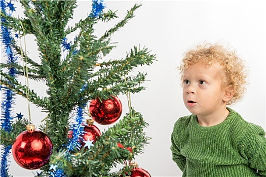 小男孩,看,圣诞树,嫉妒