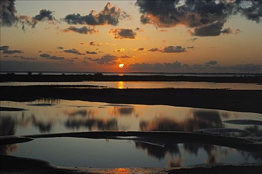 日落,上方,水,岛屿,南方,荷兰