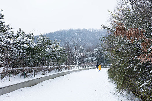 岳麓山雪景