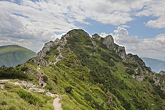 顶峰,山,国家公园,斯洛伐克,欧洲