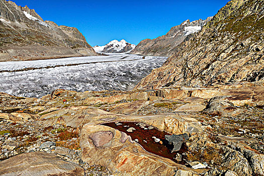 冰河,山,艾格尔峰,背影,瓦莱州,瑞士,欧洲