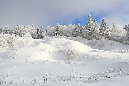 吉林省仙峰国家森林公园雪凇雪景