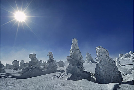 冬景,哈尔茨山,萨克森安哈尔特,德国