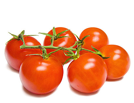 西红柿,隔绝,上方,白色
