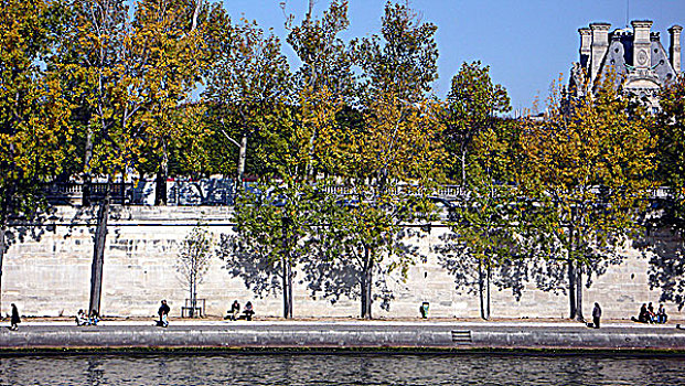 巴黎,河边,塞纳河,秋天,树,蓝天,卢浮宫