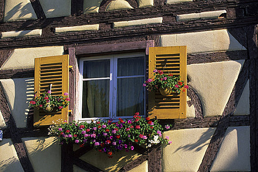法国,科尔玛,房子,窗户,花