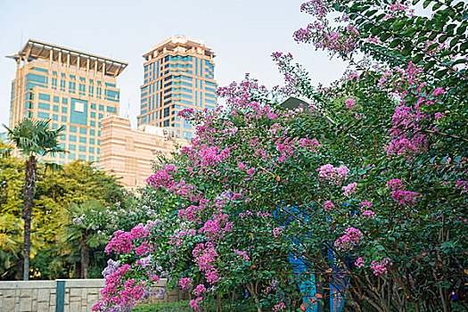 上海城市景观