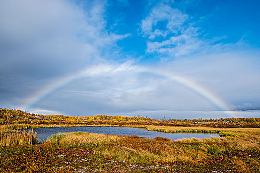 小,湖,秋景,彩虹,拉普兰,瑞典,欧洲