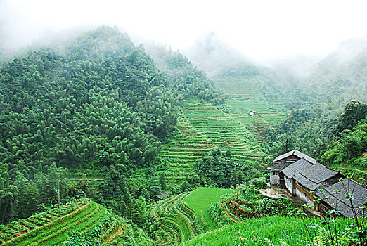 大山里的田园春色