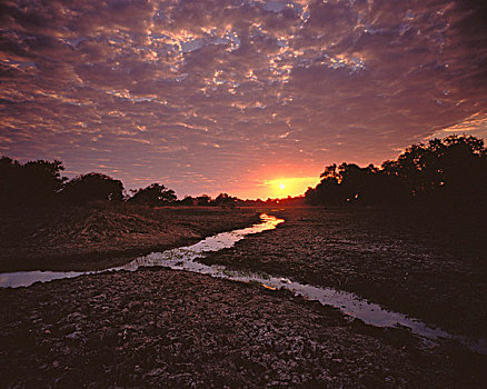 日落,上方,赞比亚