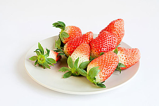 草莓,水果,静物