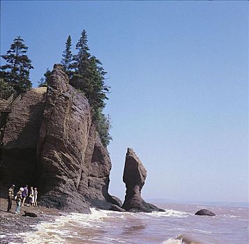 石头,海岸,海洋,新布兰斯维克,加拿大,北美
