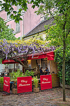 紫藤,遮盖,露天咖啡馆,蒙马特尔,巴黎,法国